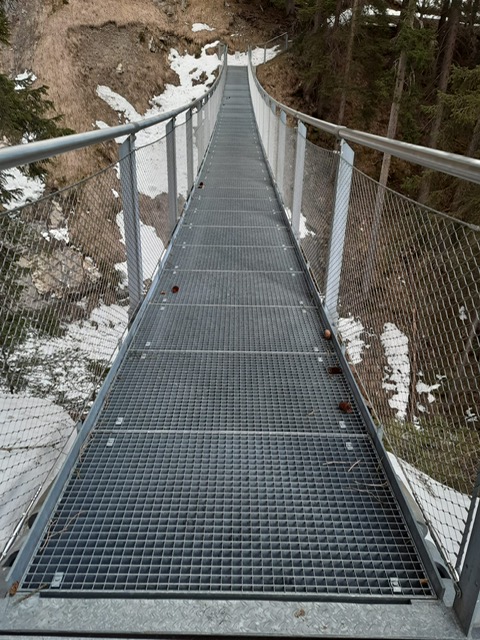 Ersatzbau des Enzsteges schon in diesem Jahr gefordert
