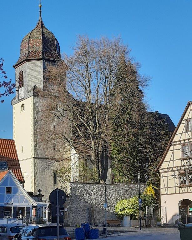 Rettungsaktion für historische Kirchenmauer